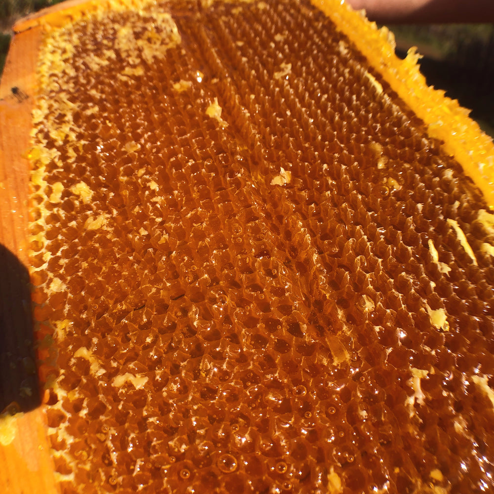 
                  
                    Raw Hoku Hawaiian Honey (4.5 oz)
                  
                