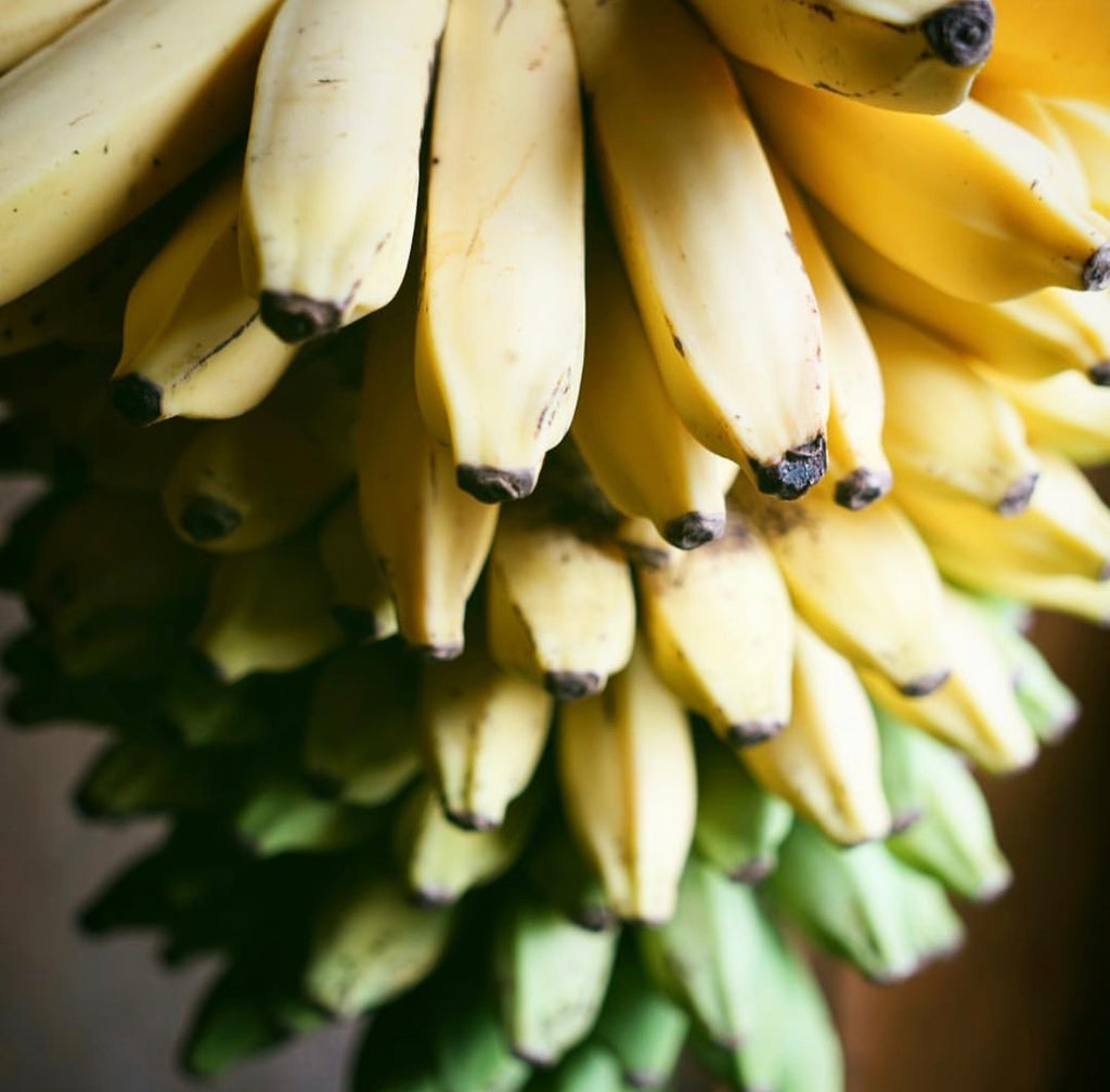 Organic Dried Apple Banana